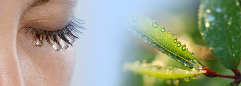 Watery eye (Epiphora)